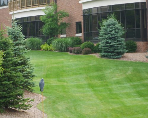 Kloosterman Landscaping Caledonia MI