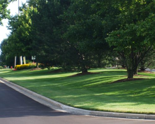 Kloosterman Landscaping Caledonia MI