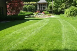 landscape-estimates-2018