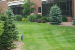 Kloosterman lawn maintenance 09 008